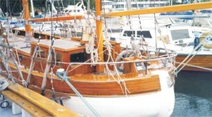 Le Tonkinois 1 Liter Farblos 4 Le Tonkinois 1 Liter Farblos – Bild 2