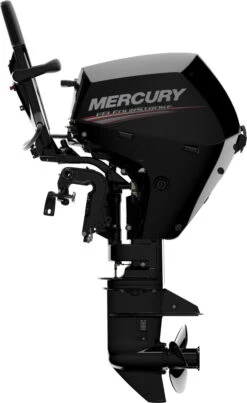 Mercury F 10 EFI MLH Außenborder -Boot Und Teile MMFS20hp15hp10hpwTiller Port 1
