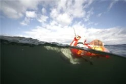 Secumar Rettungsweste Scout 275N 3D -Boot Und Teile PIC882735cb416616