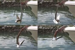 ULTRA MARINE Edelstahl Ankerwirbel UFS 6-12 -Boot Und Teile flip swivel haken2 1