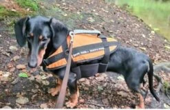 Lindemann Hundeschwimmhilfe 40-60 Kg